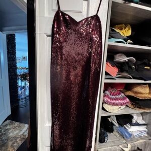 Express Burgundy Sequin Midi Dress